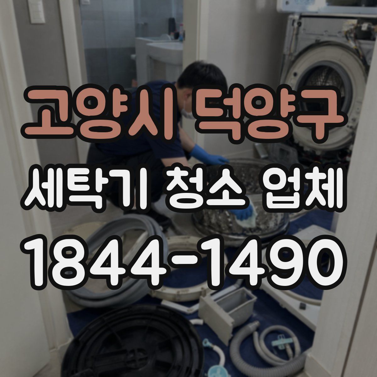 고양시 덕양구 세탁기 청소 업체