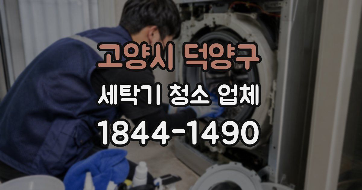 고양시 덕양구 세탁기 청소 업체