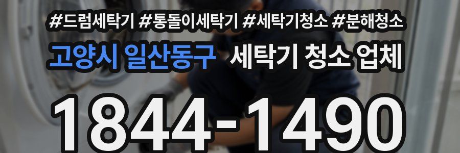 고양시 일산동구 세탁기 청소 업체