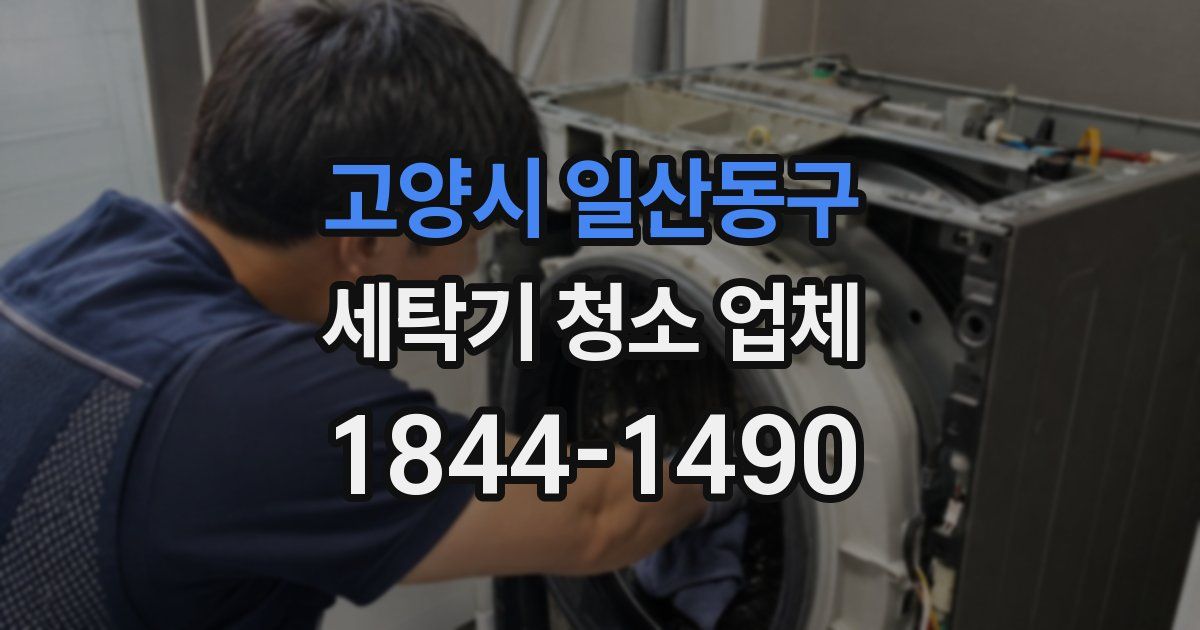 고양시 일산동구 세탁기 청소 업체