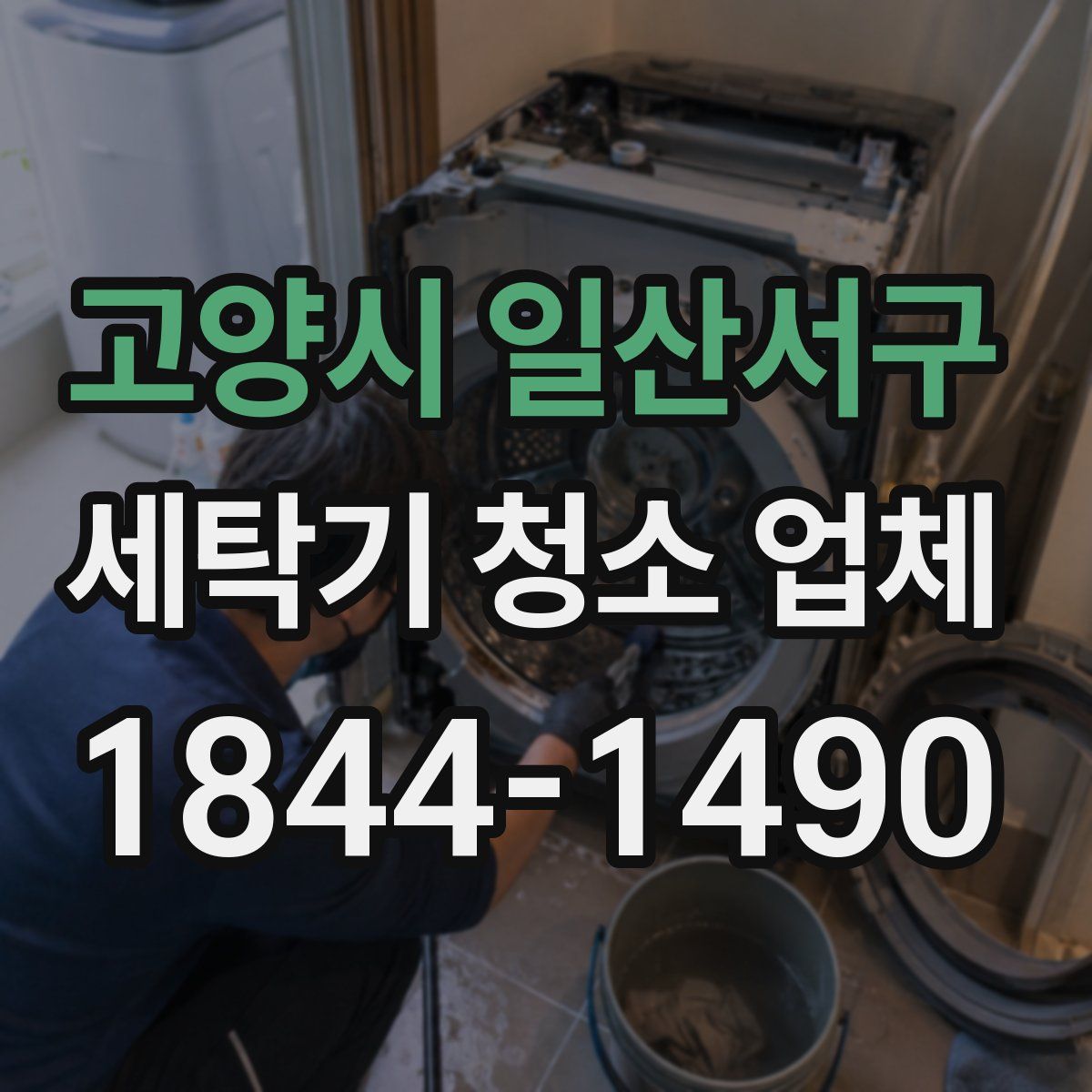 고양시 일산서구 세탁기 청소 업체