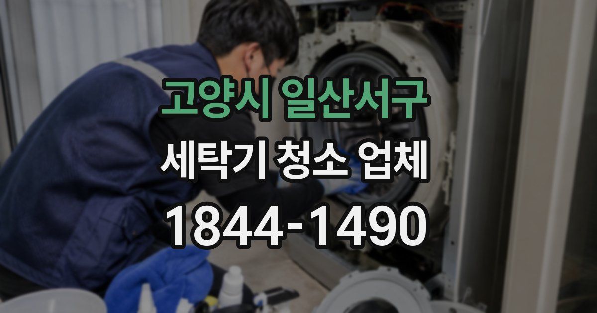 고양시 일산서구 세탁기 청소 업체