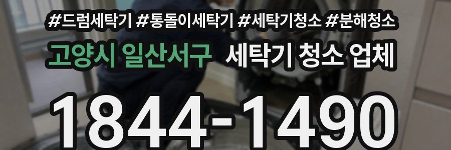 고양시 일산서구 세탁기 청소 업체