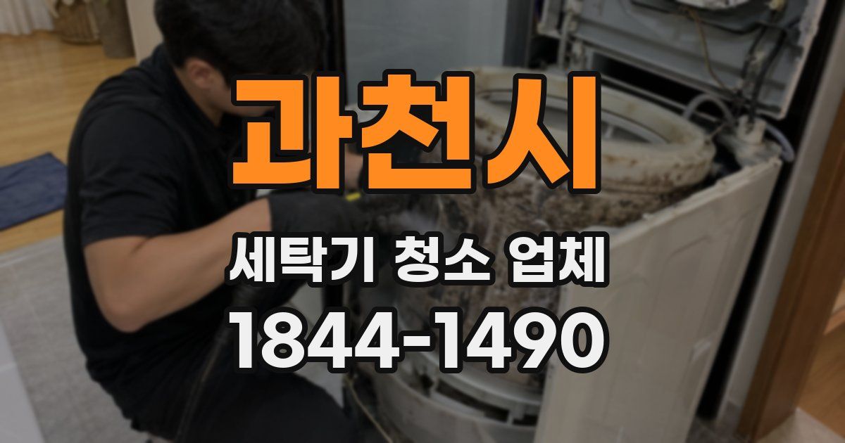 과천시 세탁기 청소 업체