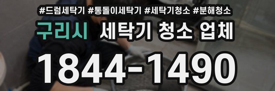 구리시 세탁기 청소 업체