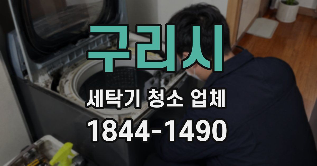 구리시 세탁기 청소 업체