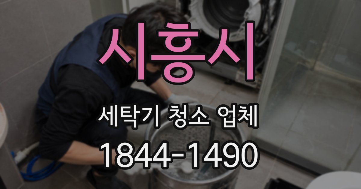 시흥시 세탁기 청소 업체