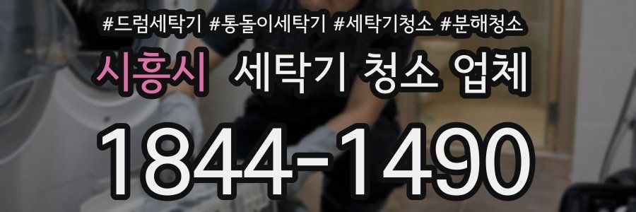 시흥시 세탁기 청소 업체