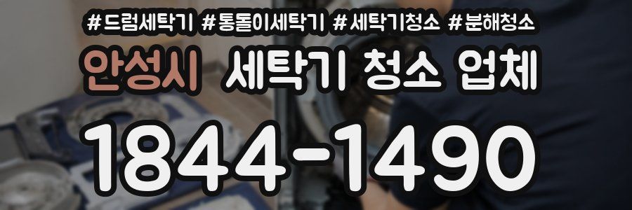 안성시 세탁기 청소 업체