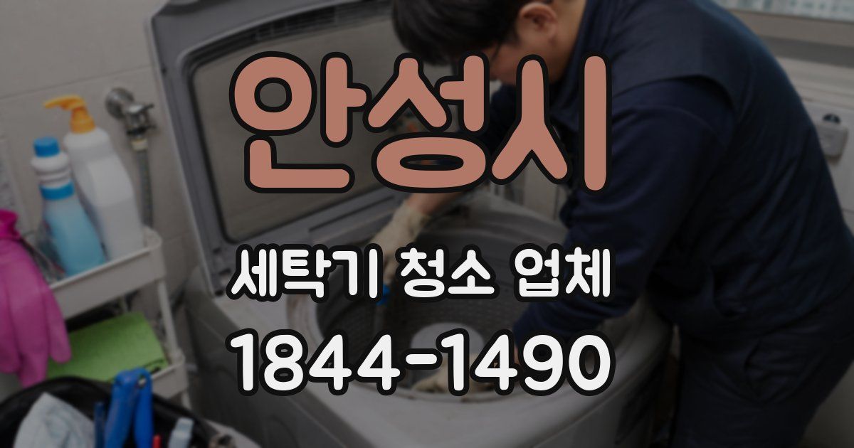 안성시 세탁기 청소 업체