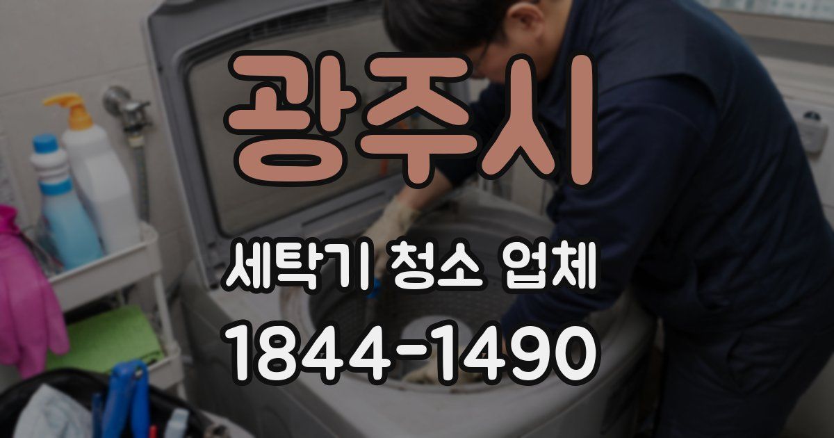 광주시 세탁기 청소 업체