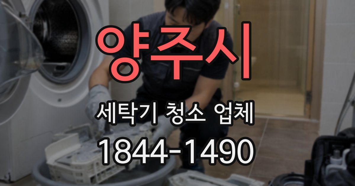 양주시 세탁기 청소 업체