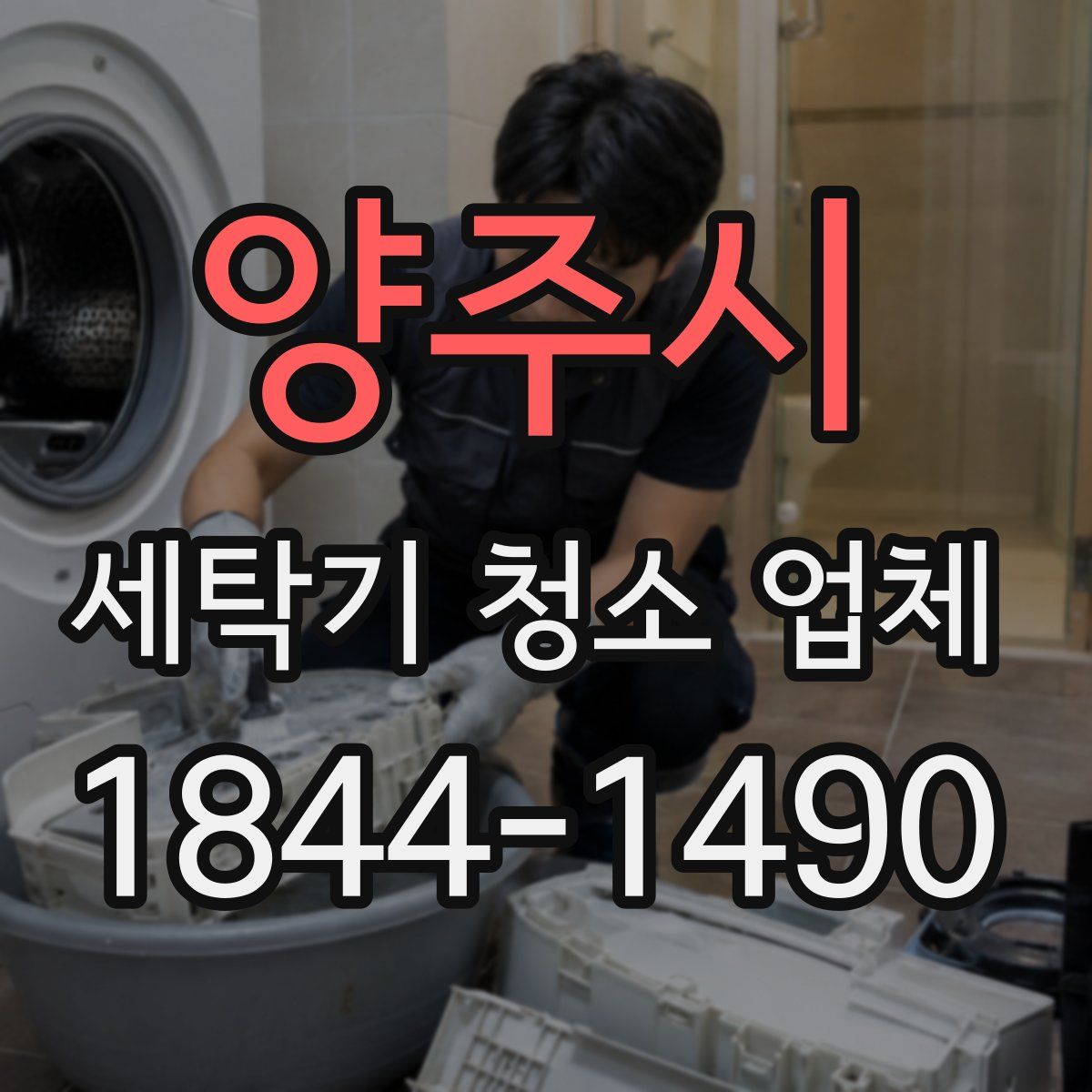 양주시 세탁기 청소 업체