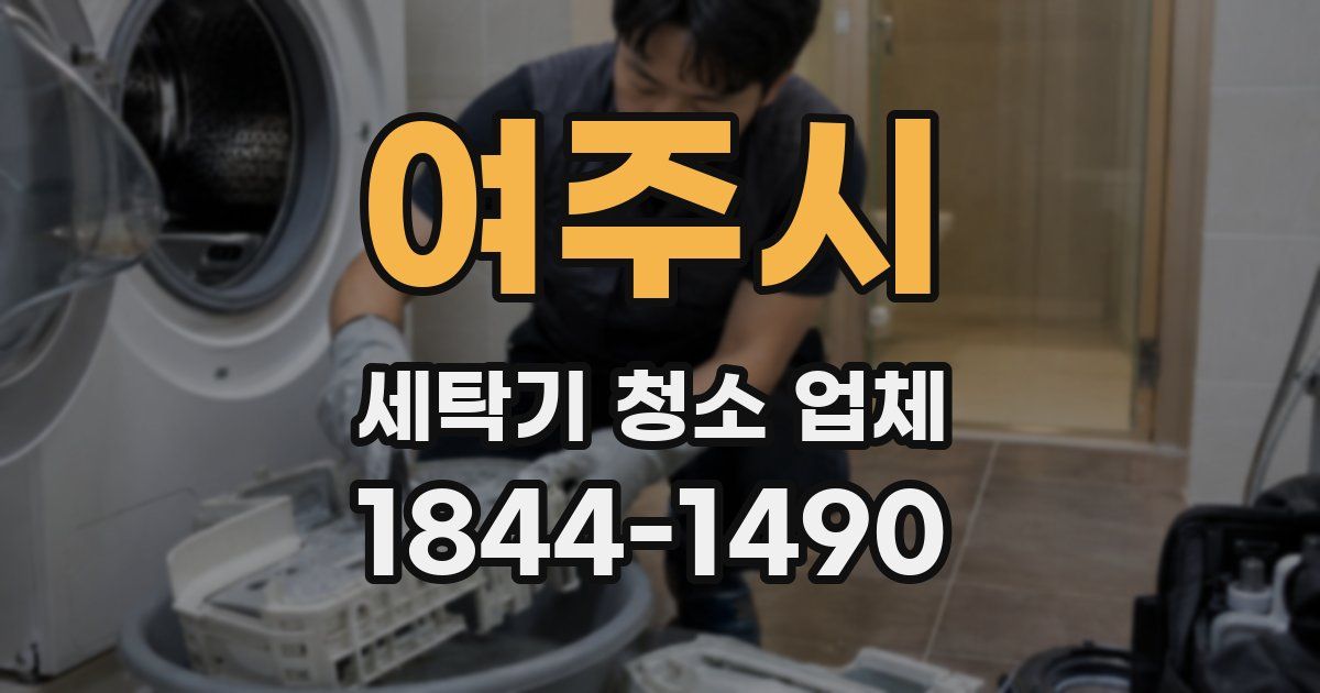 여주시 세탁기 청소 업체