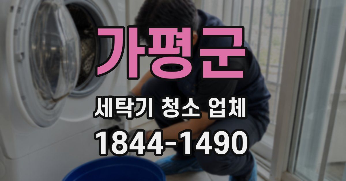 가평군 세탁기 청소 업체