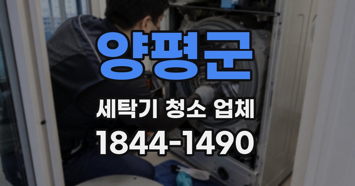 양평군 세탁기 청소 업체