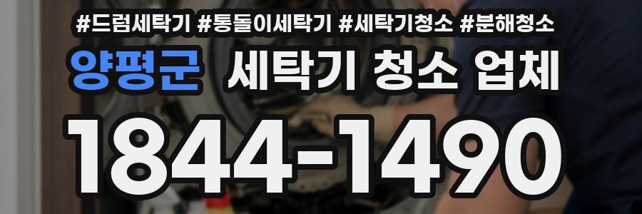 양평군 세탁기 청소 업체