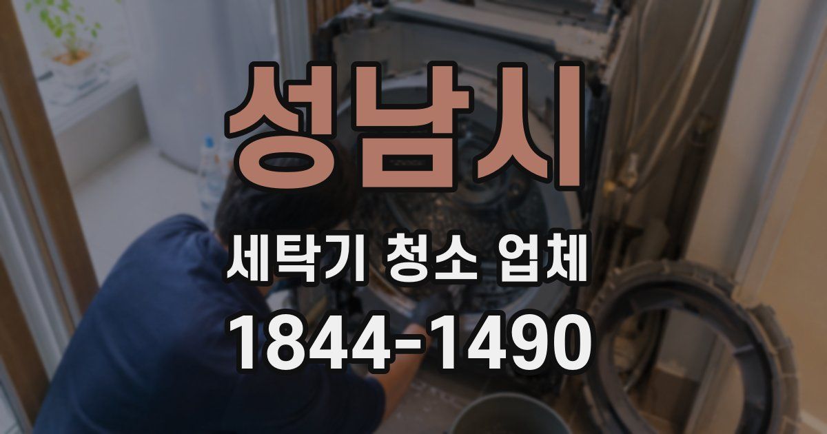 성남시 세탁기 청소 업체
