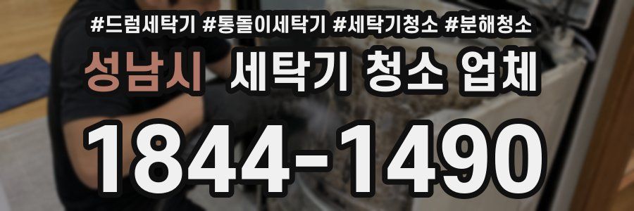 성남시 세탁기 청소 업체