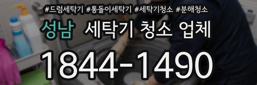 성남 세탁기 청소 업체