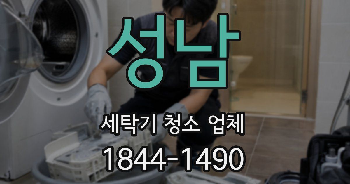 성남 세탁기 청소 업체