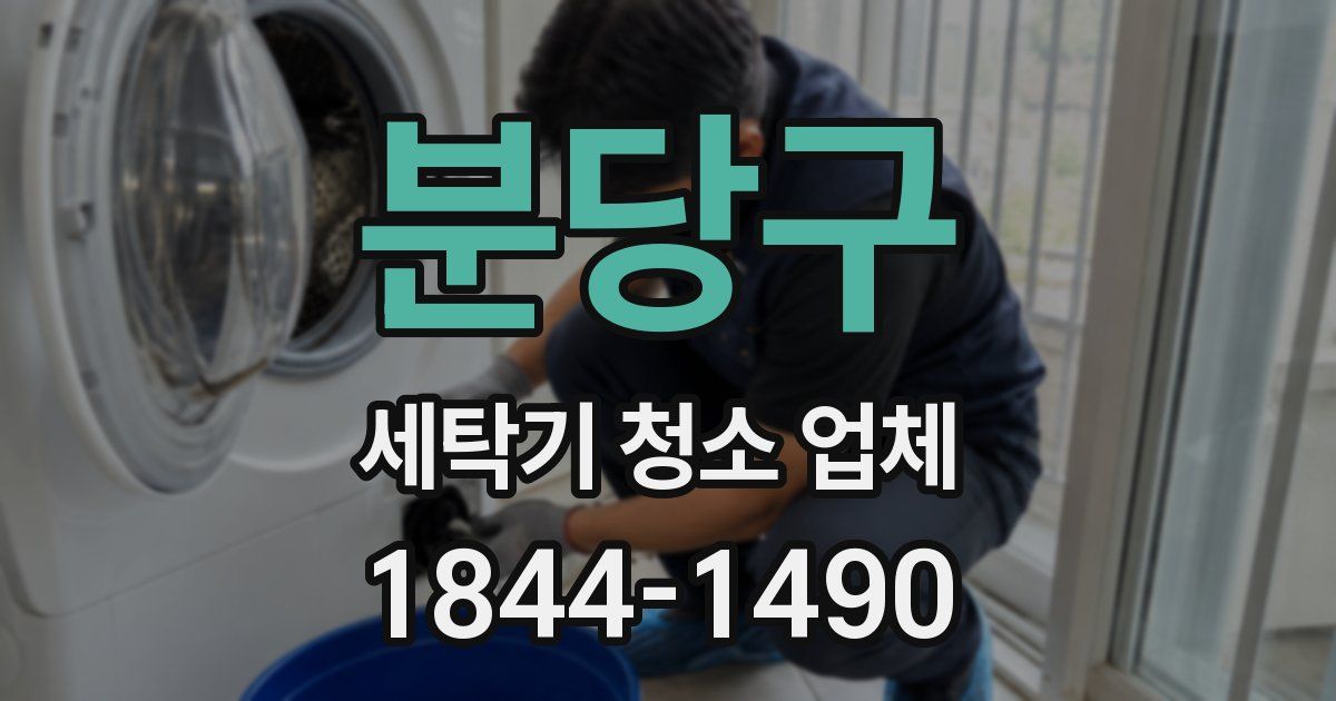 분당구 세탁기 청소 업체