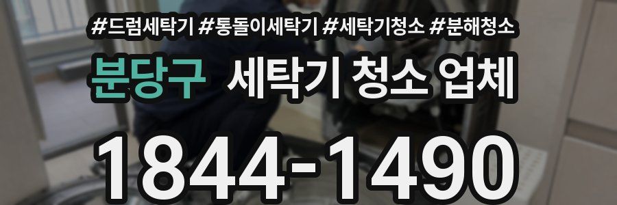 분당구 세탁기 청소 업체
