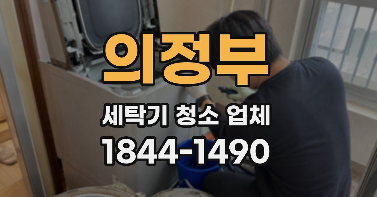 의정부 세탁기 청소 업체