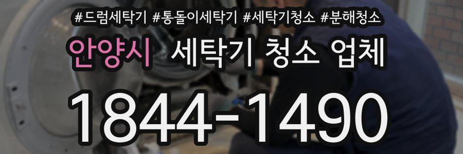 안양시 세탁기 청소 업체