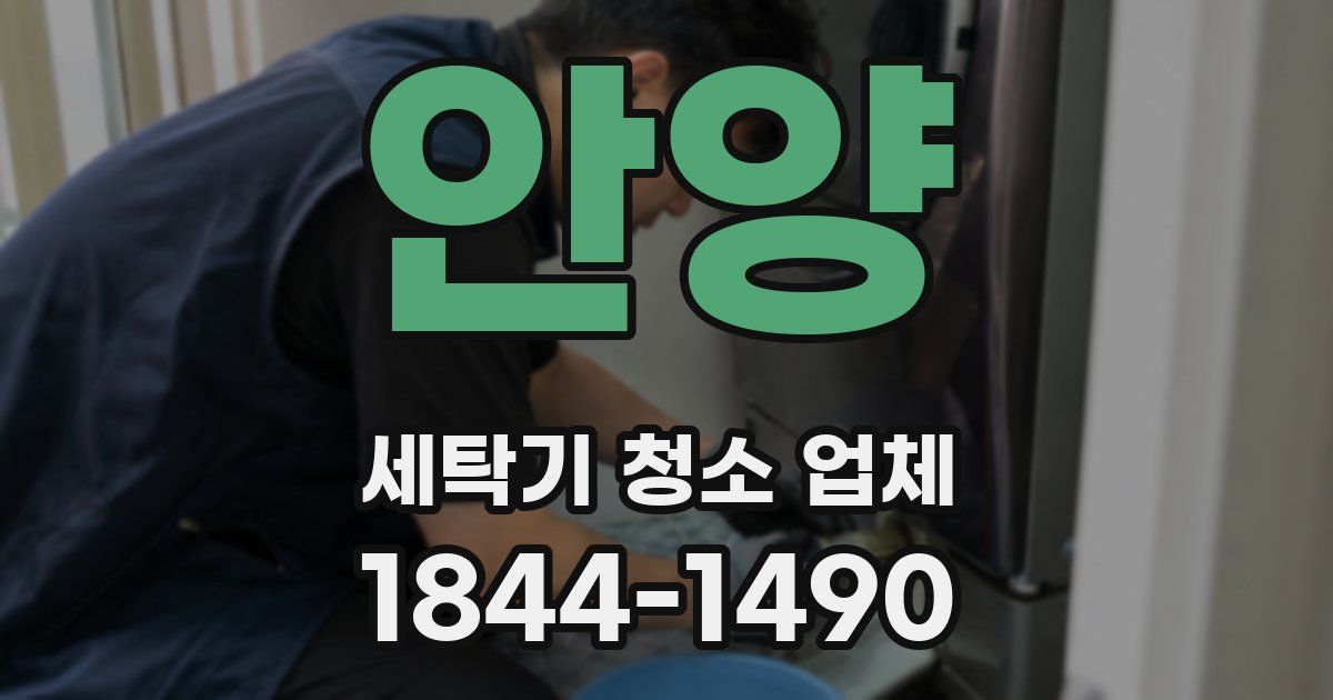 안양 세탁기 청소 업체