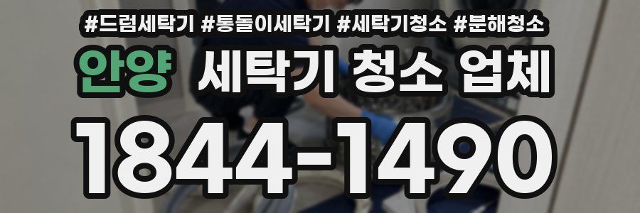 안양 세탁기 청소 업체