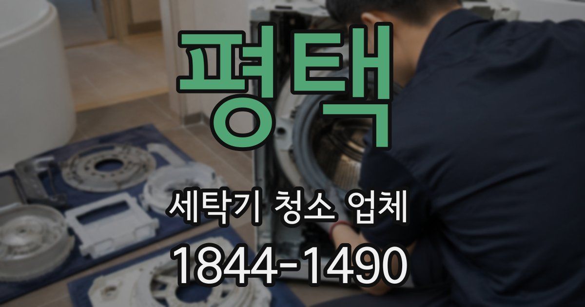 평택 세탁기 청소 업체