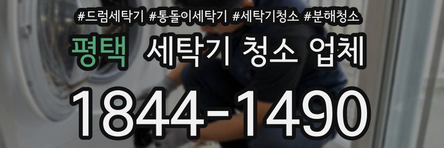 평택 세탁기 청소 업체