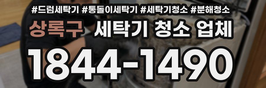 상록구 세탁기 청소 업체