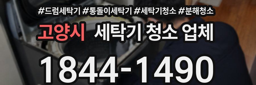 고양시 세탁기 청소 업체