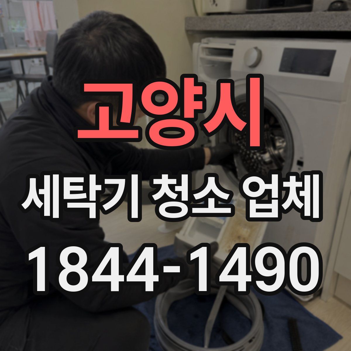 고양시 세탁기 청소 업체