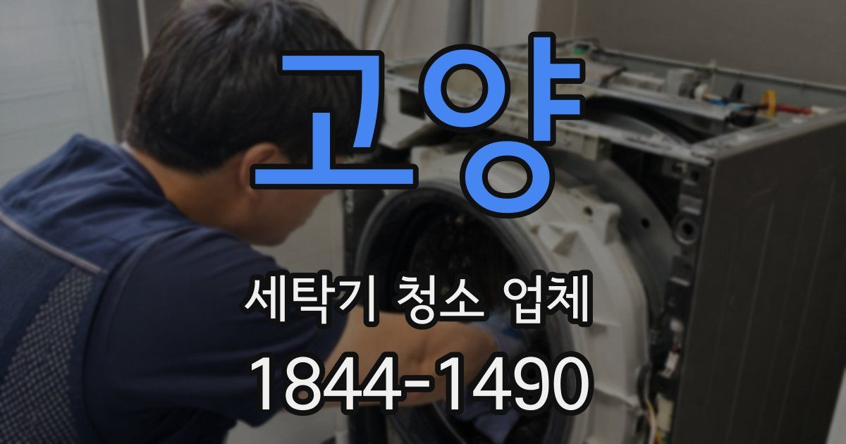고양 세탁기 청소 업체