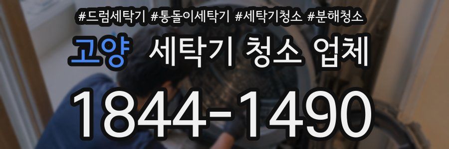 고양 세탁기 청소 업체