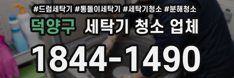 덕양구 세탁기 청소 업체