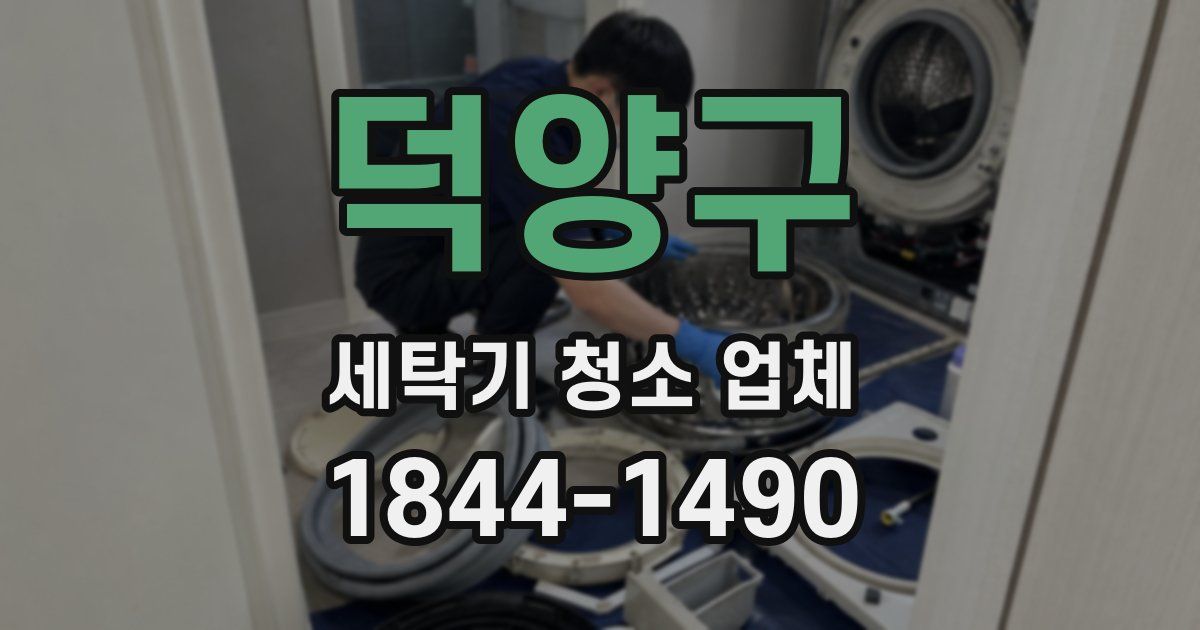 덕양구 세탁기 청소 업체