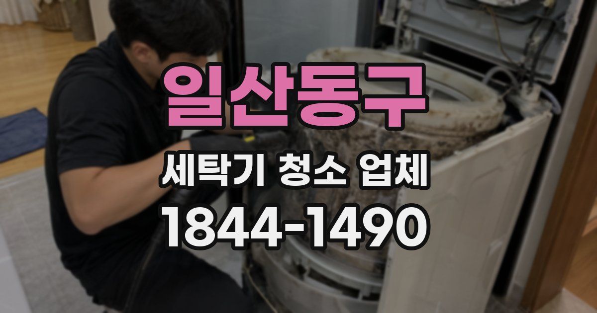 일산동구 세탁기 청소 업체
