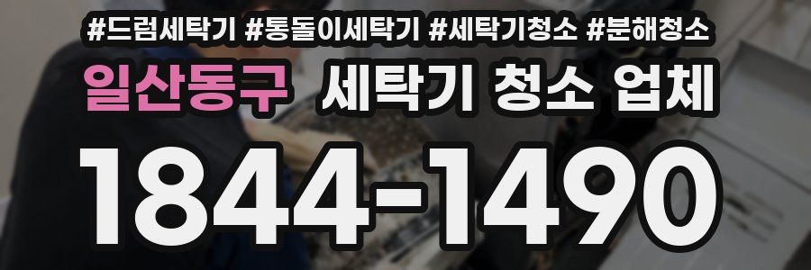 일산동구 세탁기 청소 업체