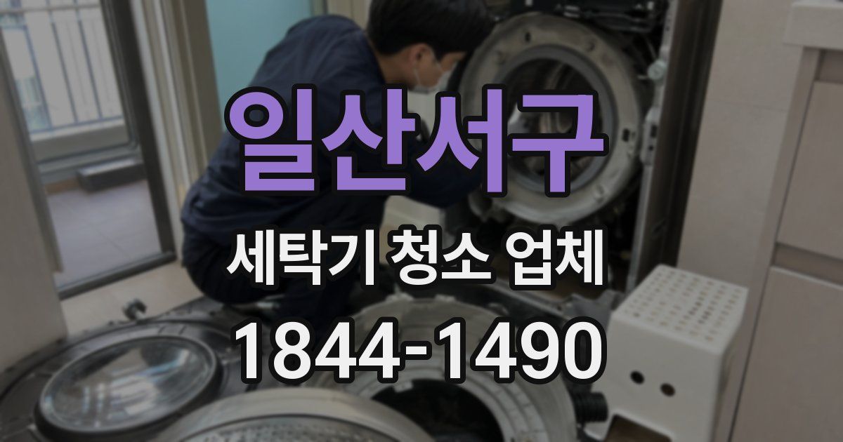 일산서구 세탁기 청소 업체