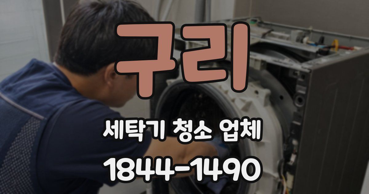구리 세탁기 청소 업체