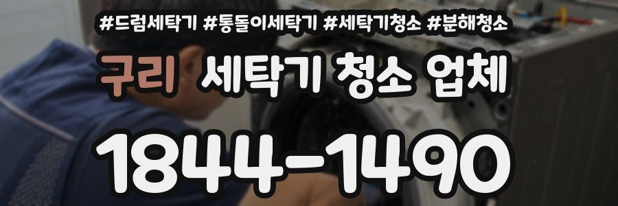 구리 세탁기 청소 업체
