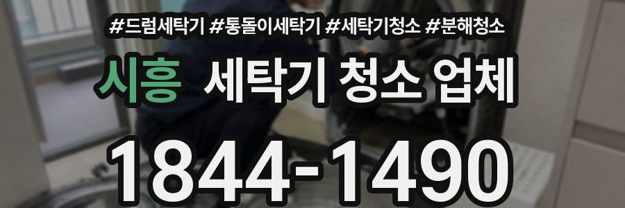 시흥 세탁기 청소 업체