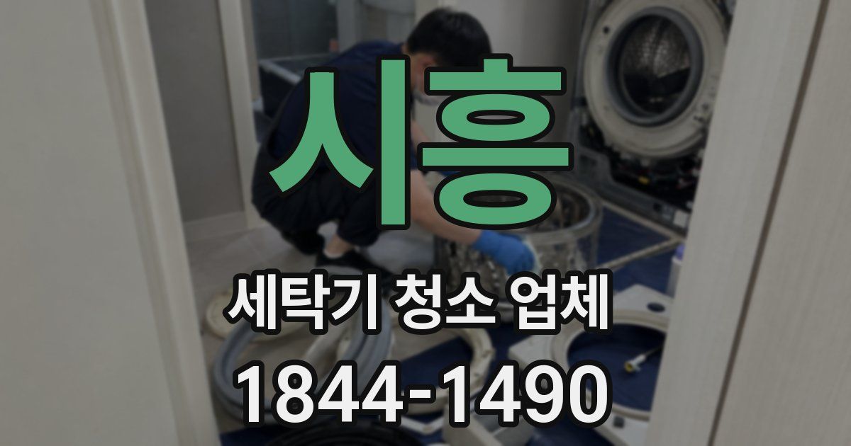 시흥 세탁기 청소 업체