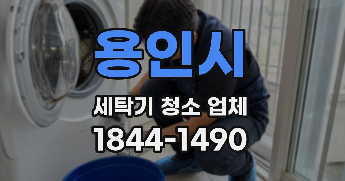 용인시 세탁기 청소 업체