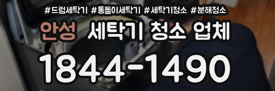 안성 세탁기 청소 업체