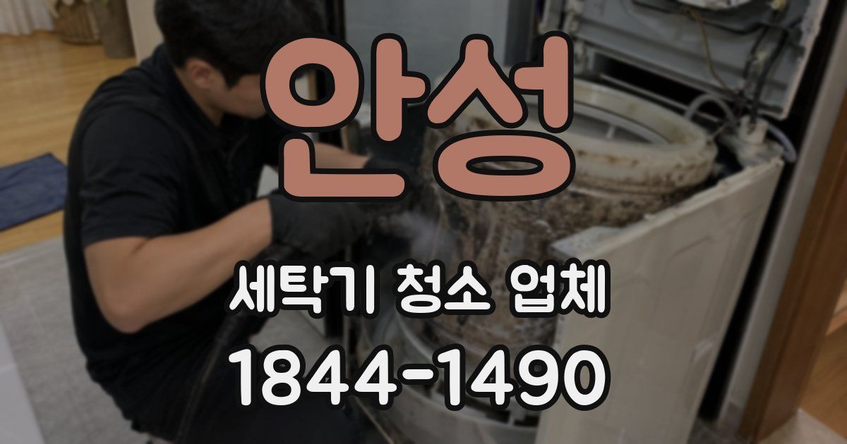 안성 세탁기 청소 업체